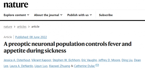 生病后嗅觉很累？此次“背锅”的简直是大脑！